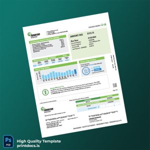 United States Ameren Missouri Editable Electricity Bill Template in Word and PDF formats