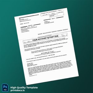 United States AmerenIP Editable Utility Bill Template in Word and PDF formats