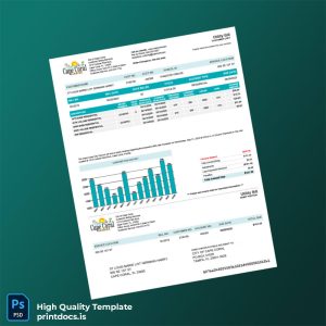 United States City Of Cape Coral Editable Utility Bill Template in Word and PDF formats