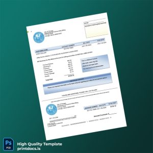 United States City Of Chicago Department Of Finance-Utility Billing Editable Utility Bill Template in Word and PDF formats