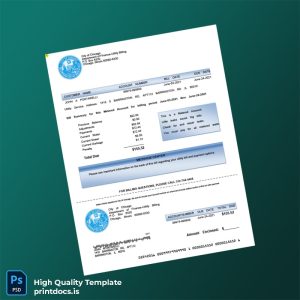 United States City Of Chicago Editable Utility Bill Template in Word and PDF formats
