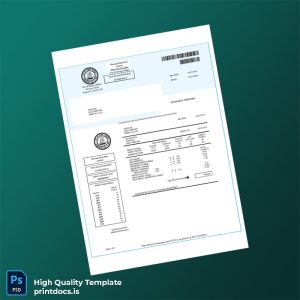 United States City Of Tampa Utilities Editable Water Bill Template in Word and PDF formats