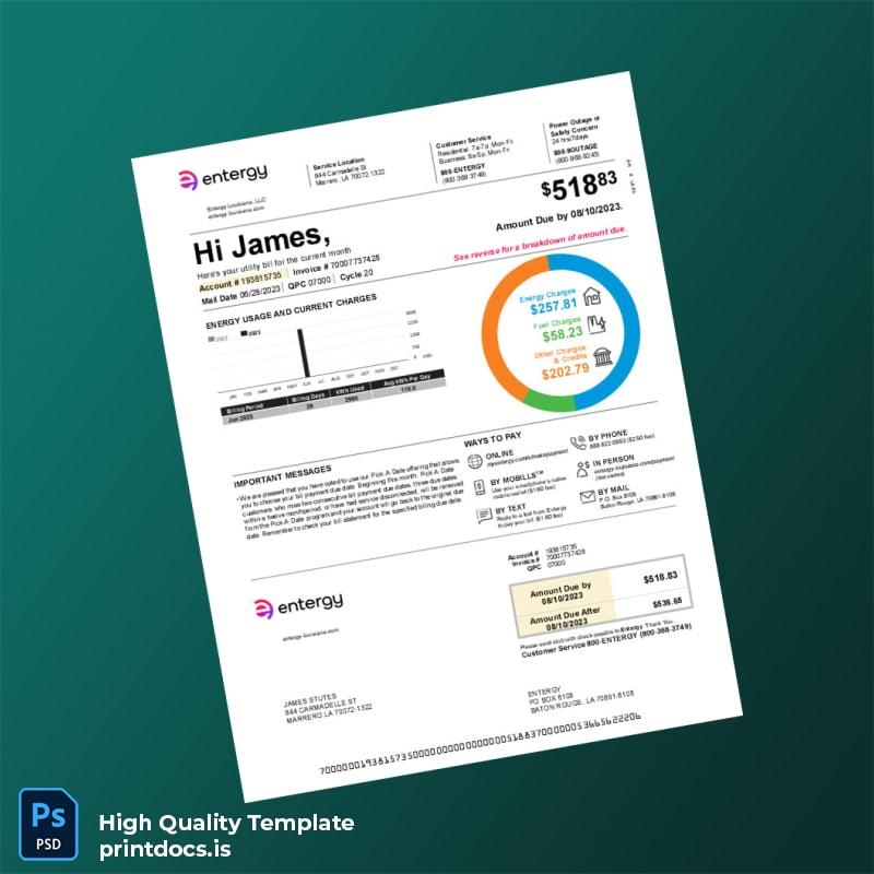 United States Entergy Louisiana Editable Utility Bill Template in Word and PDF formats