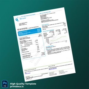 United States FPL Editable Electricity Bill Template in Word and PDF formats