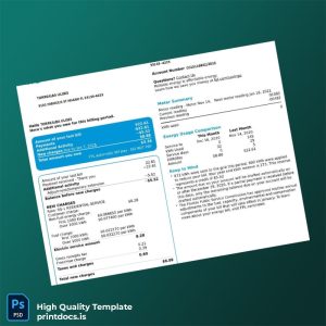 United States FPL Editable Utility Bill Template in Word and PDF formats