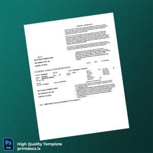 Printable United States Florida Vehicle Registration Certificate Template (Word & PDF) Image Preview - PrintDocs
