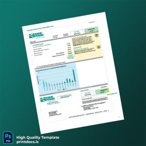 United States Idaho Power Editable Utility Bill Template in Word and PDF formats