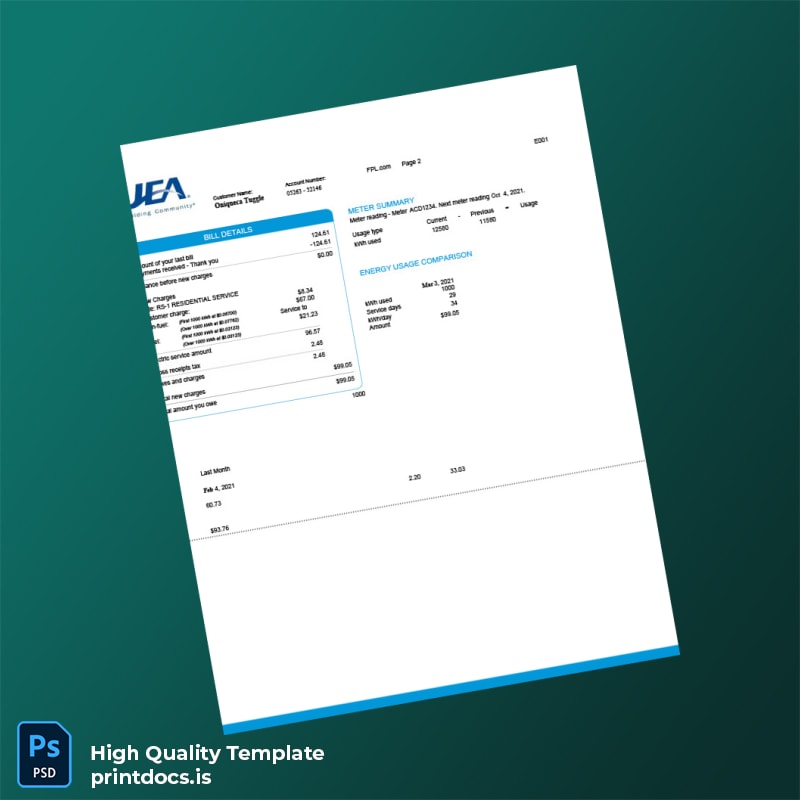 United States JEA Editable Electricity Bill Template in Word and PDF formats page 2