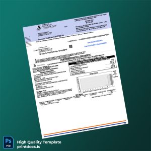 United States NATIONAL FUEL GAS DISTRIBUTION CORPORATION Editable Gas Bill Template in Word and PDF formats