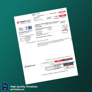 United States Northern States Power Company Editable Utility Bill Template in Word and PDF formats