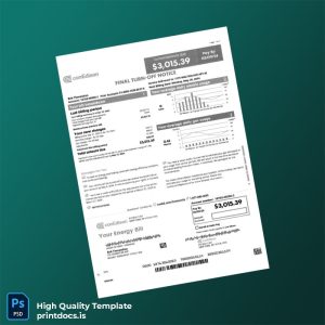 United States Not Specified Editable Utility Bill Template in Word and PDF formats