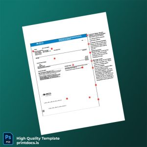 United States PECO Editable Utility Bill Template in Word and PDF formats