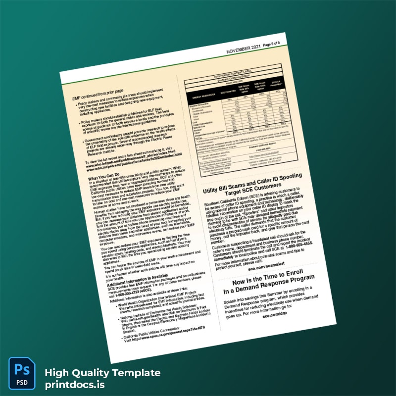 Utility Company Editable Utility Bill Template in Word and PDF formats page 8