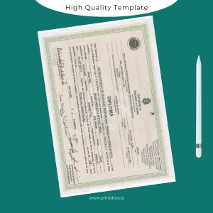 Printable Brazil Escola Estadual de Educação Profissional Venceslau Vieira Batista Technical Diploma Template Image Preview - PrintDocs