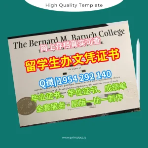 Printable USA Bernard M. Baruch College Bachelor of Arts Template Image Preview - PrintDocs